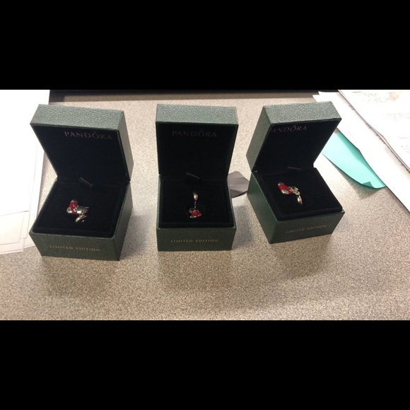 Pandora bundle - Picture 1 of 8